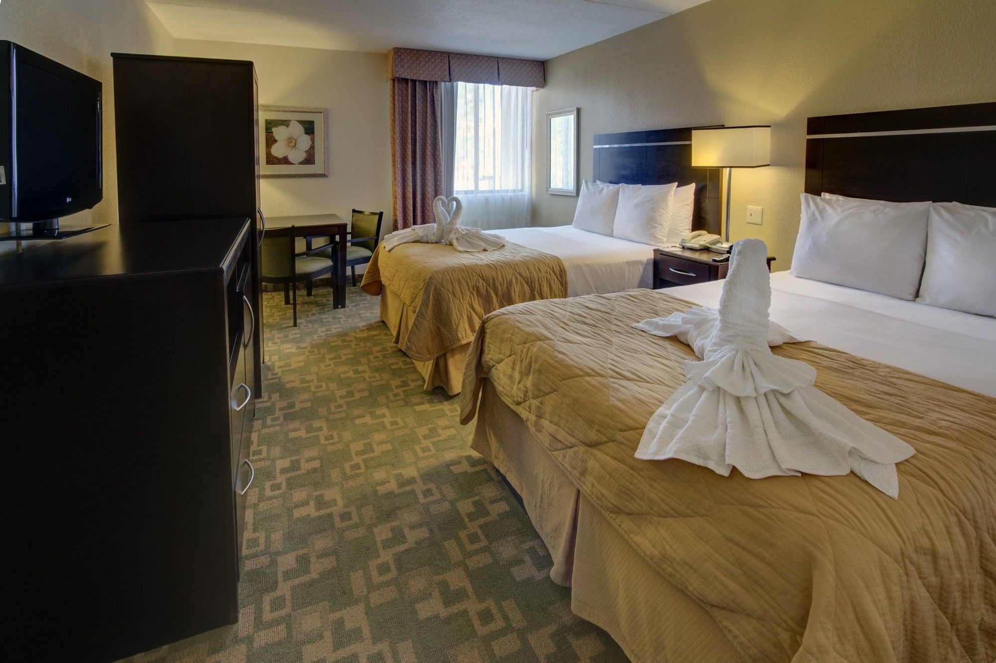 Clarion Inn & Suites At International Drive Orlando Bilik gambar